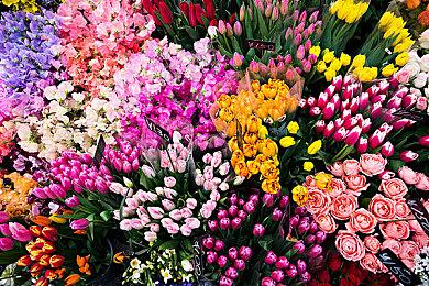 《山门与幻境》现已发售 登陆了Steam抢先体验