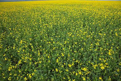 《飞越13号房》凭什么作为影像创新的代表作品，展映戛纳国际电影节